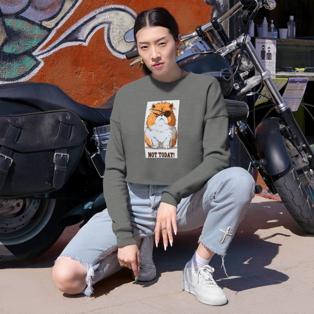 Cropped Sweatshirt — Grumpy Cat 'Not Today' Graphic