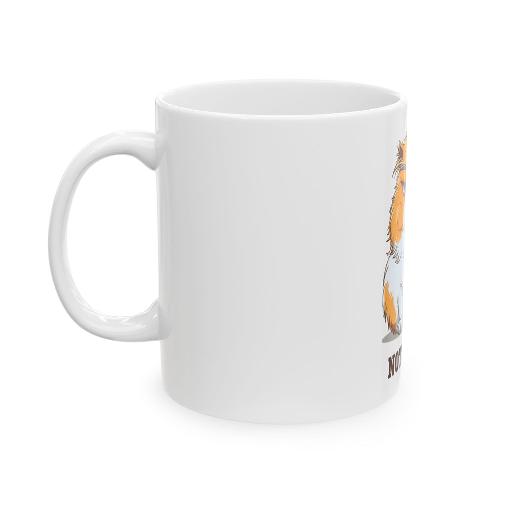 Grumpy Pirate Cat Mug – "Not Today!" Funny Coffee Ceramic Mug (11oz & 15oz)