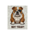 Copy of Crushed Velvet Blanket — Grumpy Bulldog “NOT TODAY!” Throw Blanket