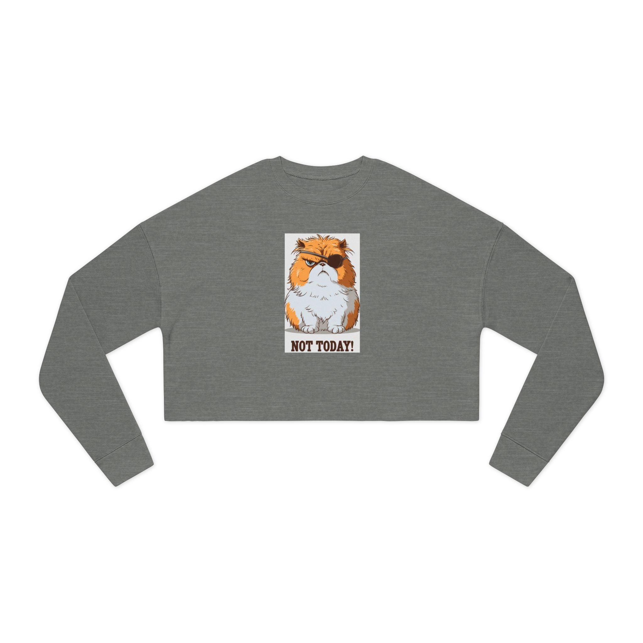 Cropped Sweatshirt — Grumpy Cat 'Not Today' Graphic