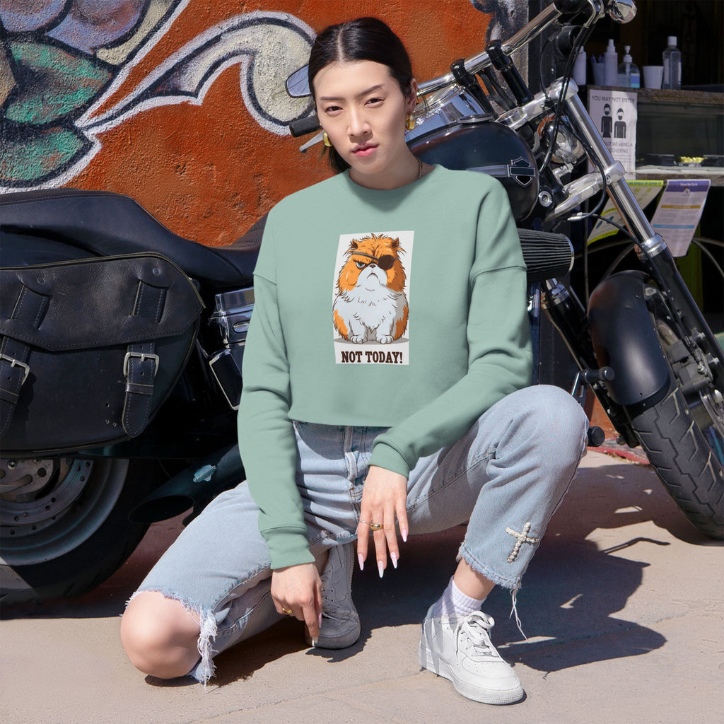 Cropped Sweatshirt — Grumpy Cat 'Not Today' Graphic