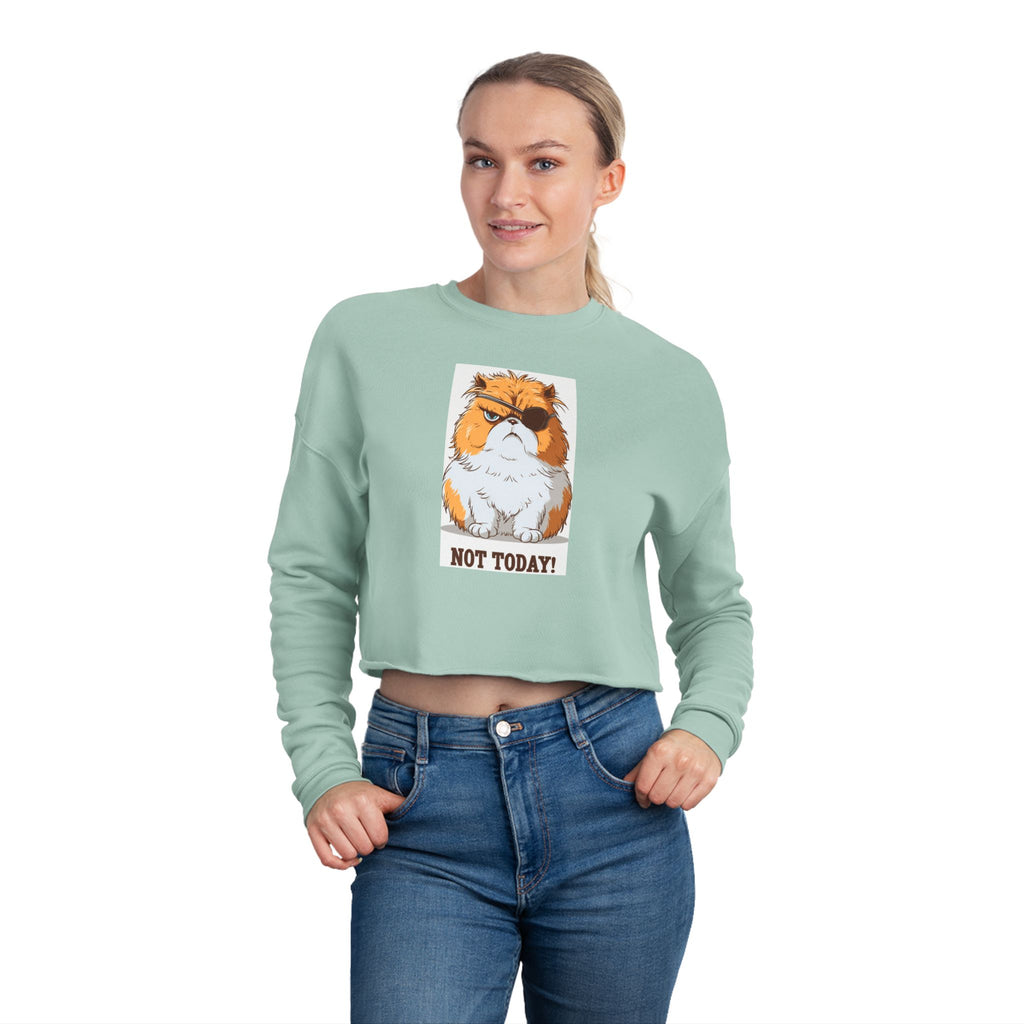 Cropped Sweatshirt — Grumpy Cat 'Not Today' Graphic