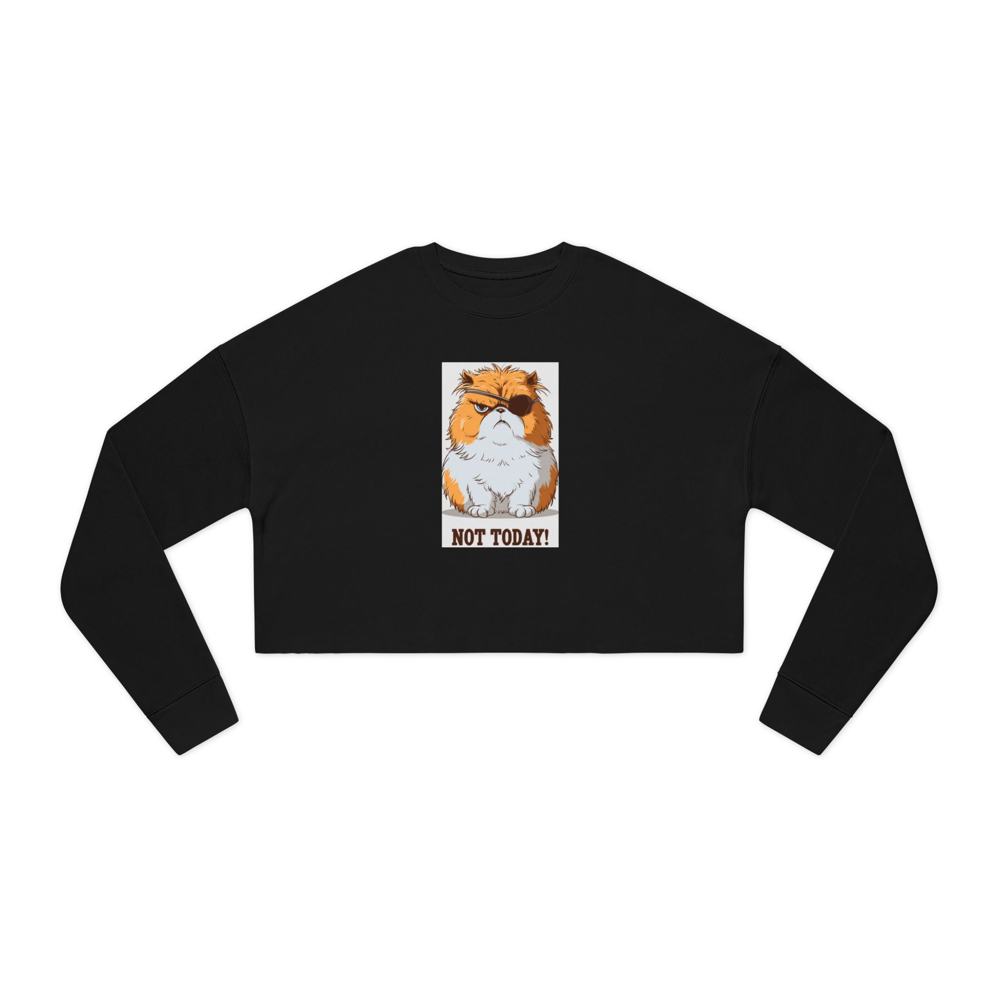 Cropped Sweatshirt — Grumpy Cat 'Not Today' Graphic