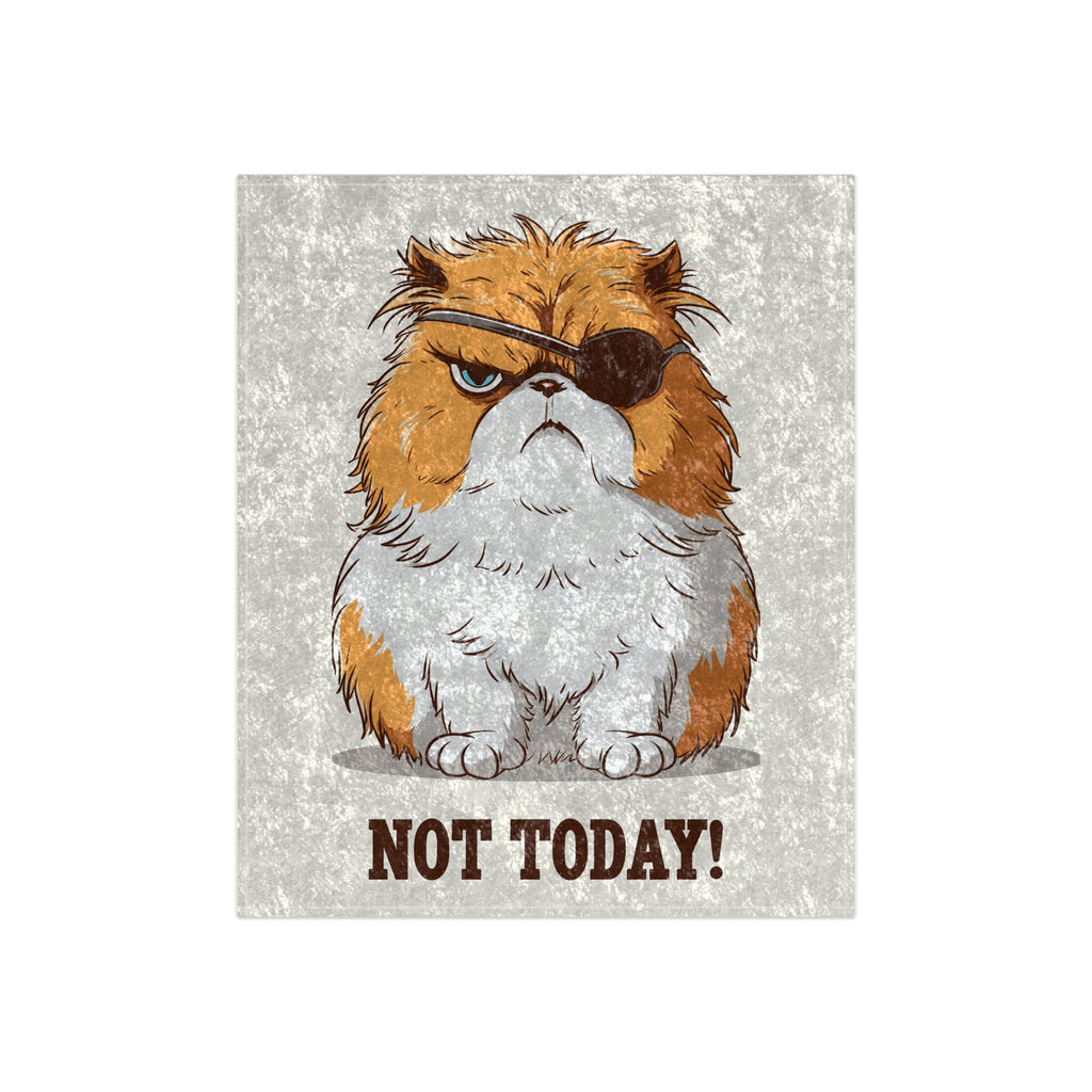 Crushed Velvet Blanket — Grumpy Pirate Cat “NOT TODAY!” Throw Blanket