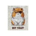 Crushed Velvet Blanket — Grumpy Pirate Cat “NOT TODAY!” Throw Blanket