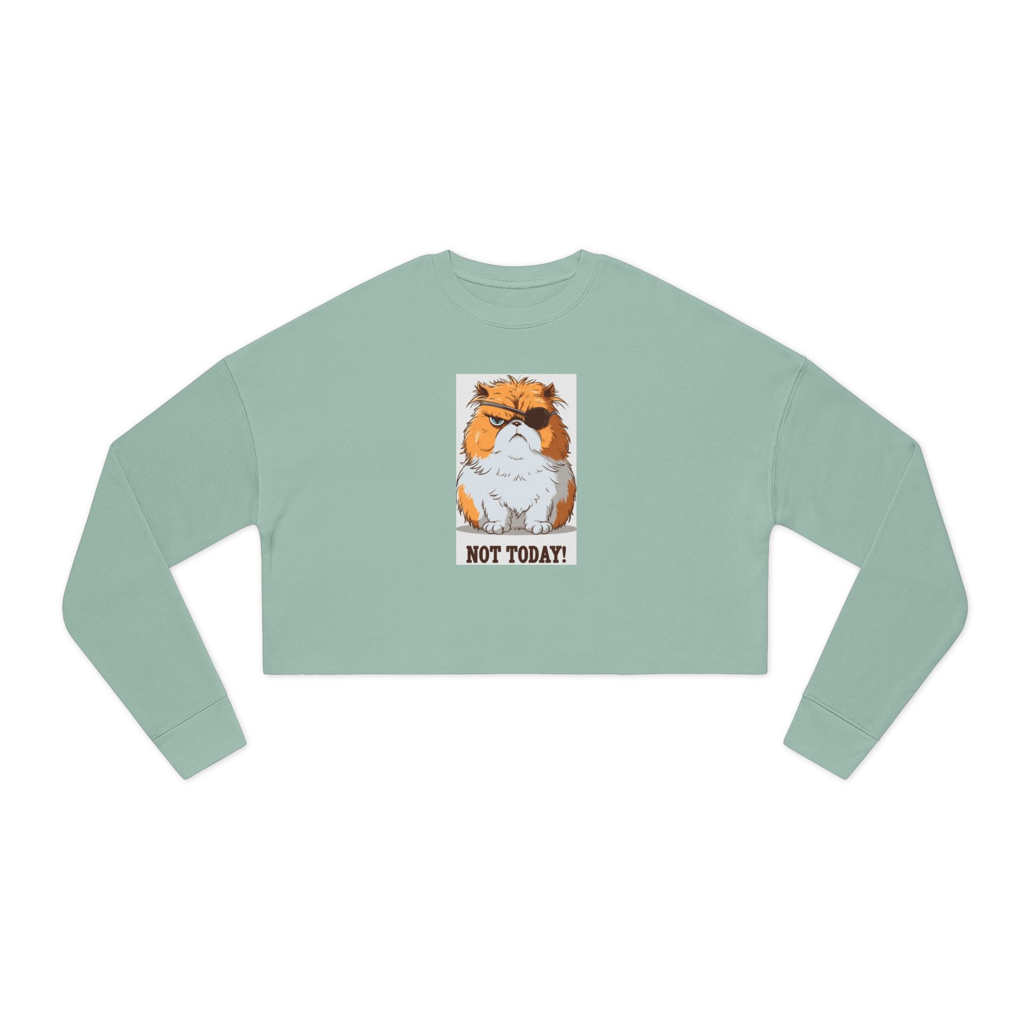 Cropped Sweatshirt — Grumpy Cat 'Not Today' Graphic