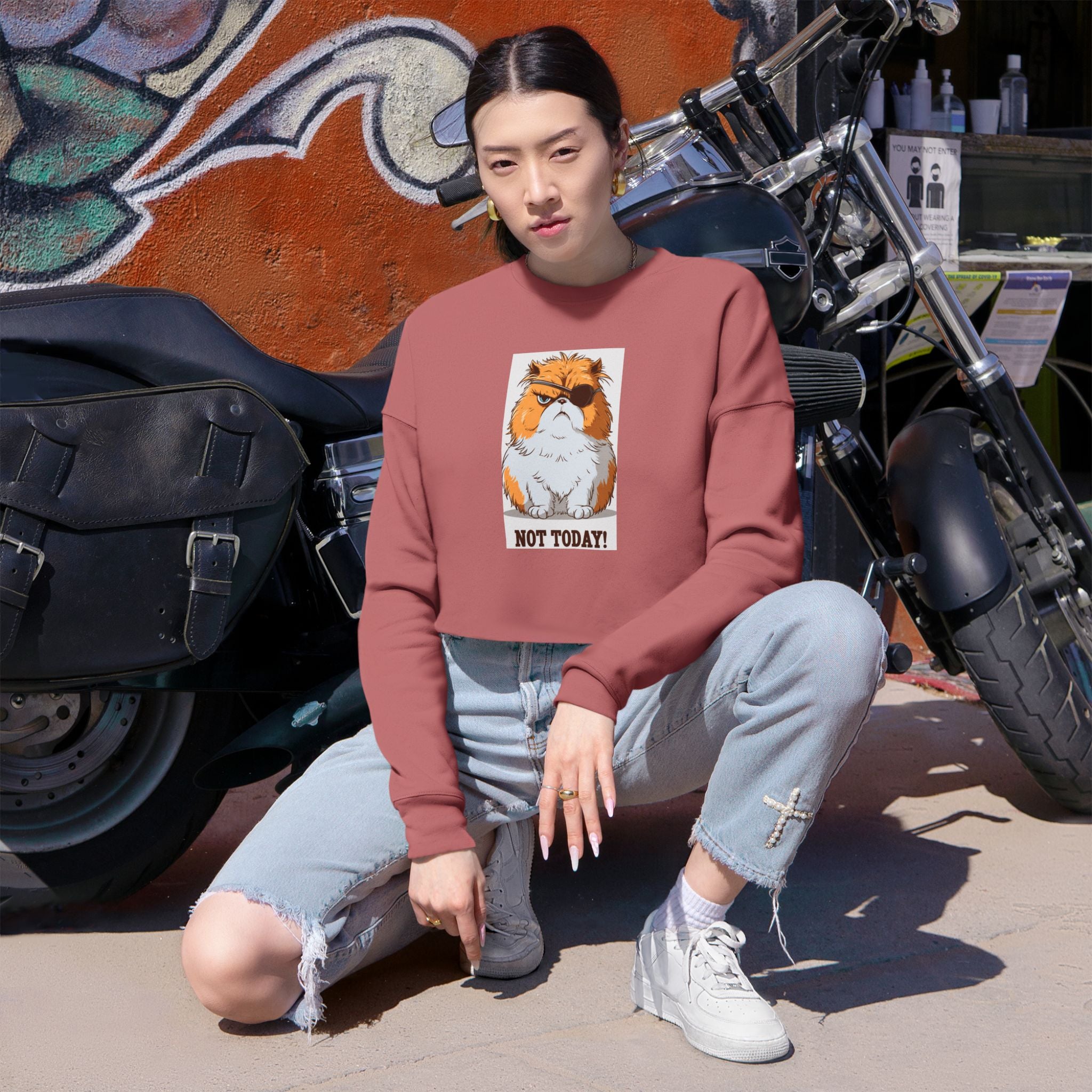 Cropped Sweatshirt — Grumpy Cat 'Not Today' Graphic