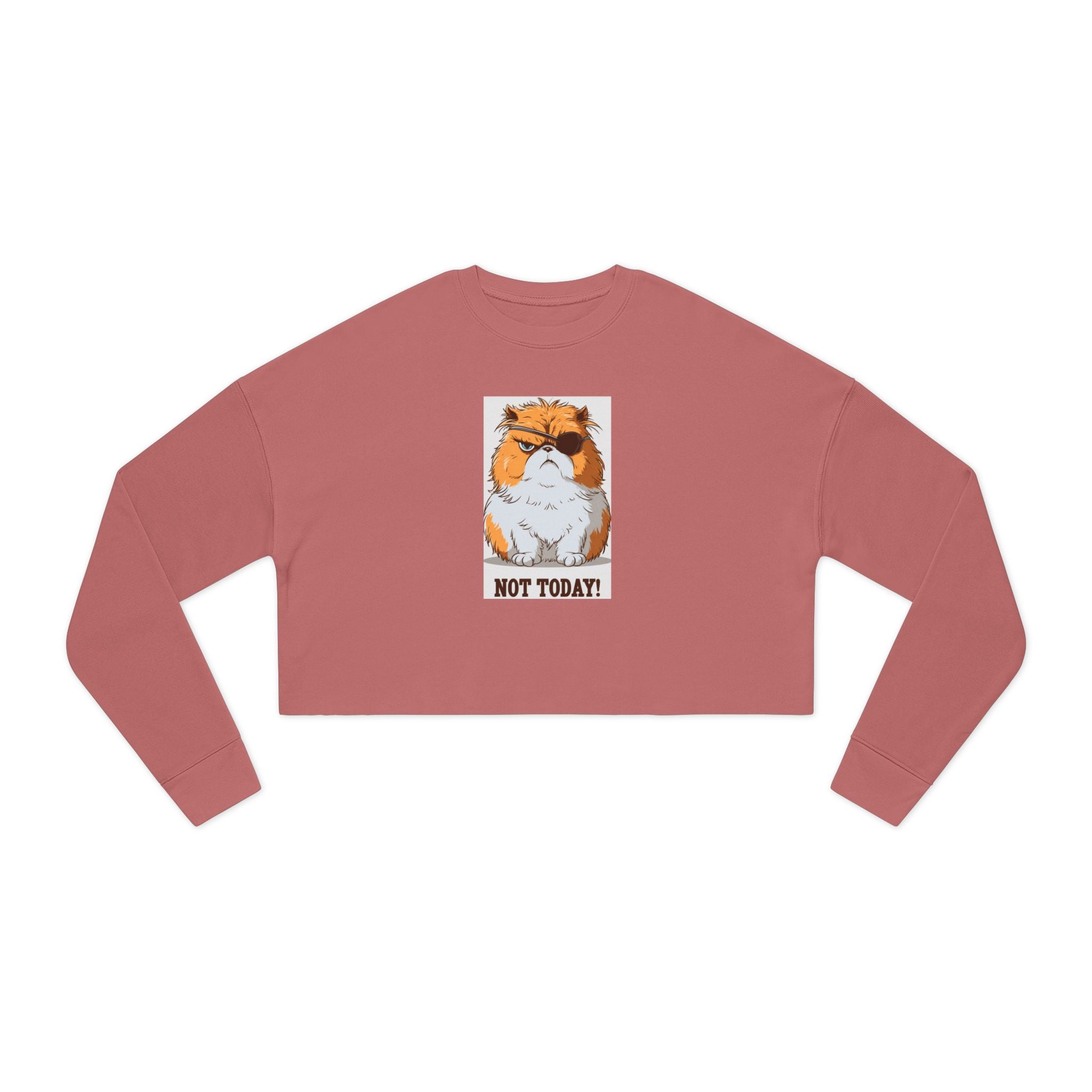 Cropped Sweatshirt — Grumpy Cat 'Not Today' Graphic